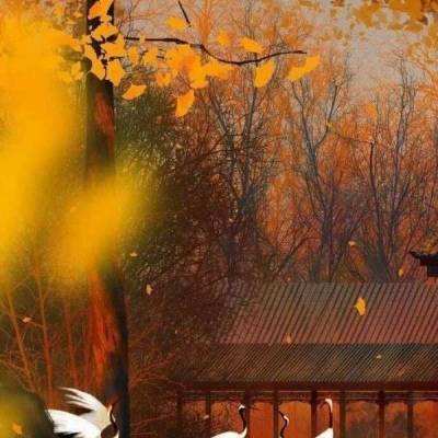 时空猎人汉风客户端下载